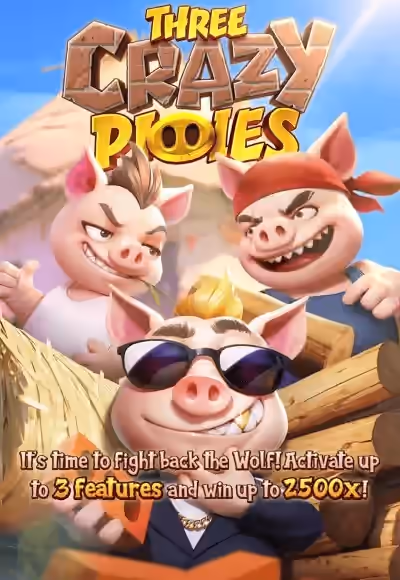 Three-Crazy-Piggies_1